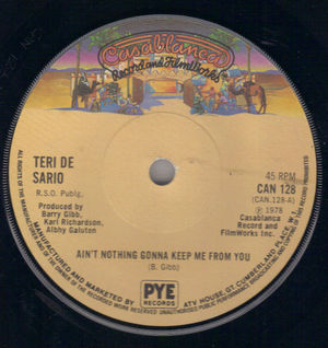 TERI DE SARIO  , AIN'T NOTHING GONNA KEEP ME FROM YOU / SOMETIME KIND OF THING