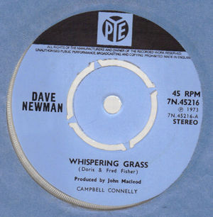 DAVE NEWMAN, WHISPERING GRASS / ROSE MARIE
