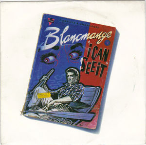 BLANCMANGE , I CAN SEE IT / SCREAM DOWN THE HOUSE 