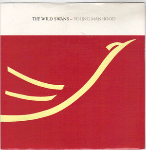 WILD SWANS, YOUNG MANHOOD / HOLY HOLY
