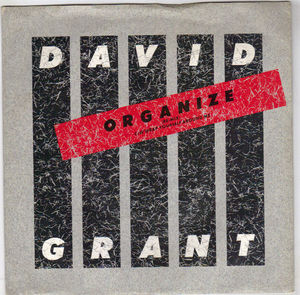 DAVID GRANT   , WRAP YOURSELF AROUND ME / ORGANIZE