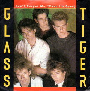 GLASS TIGER, DONT FORGET ME / ANCIENT EVENINGS -looks unplayed