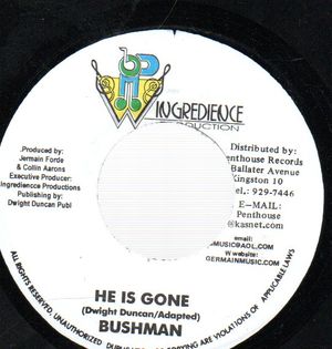BUSHMAN, HE IS GONE / VERSION 