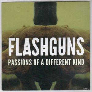 FLASHGUNS, PASSIONS OF A DIFFERENT KIND / NO GAME JUST SPORT