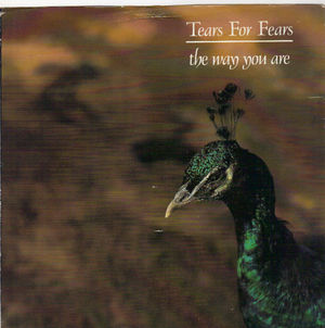 TEARS FOR FEARS , THE WAY YOU ARE / THE MARAUDERS