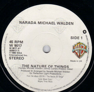 NARADA MICHAEL WALDEN , THE NATURE OF THINGS / DANCIN ON MAIN STREET