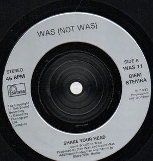 WAS (NOT WAS), SHAKE YOUR HEAD / I BLEW UP THE UNITED STATES 