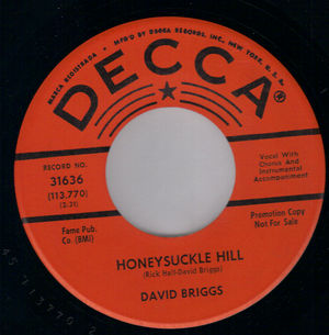 DAVID BRIGGS, HONEYSUCKLE HILL / HOLDING ON - PROMO