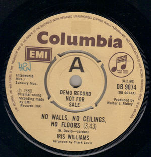 IRIS WILLIAMS , NO WALLS NO CEILINGS NO FLOORS / I DONT KNOW - PROMO