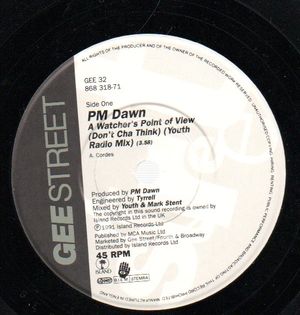 PM DAWN, A WATCHERS POINT OF VIEW / TWISTED MELLOW