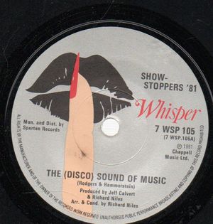 SHOW STOPPERS 81, THE DISCO SOUND OF MUSIC / THE SOUND OF RAPPING 