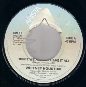 WHITNEY HOUSTON , DIDN'T WE HAVE IT ALL / SHOCK ME 