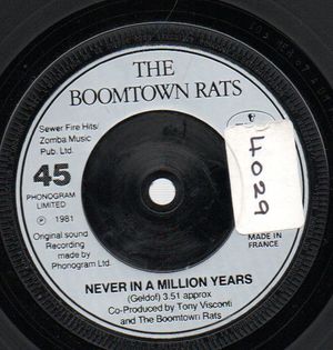 BOOMTOWN RATS, NEVER IN A MILLION YEARS / DON'T TALK TO ME 