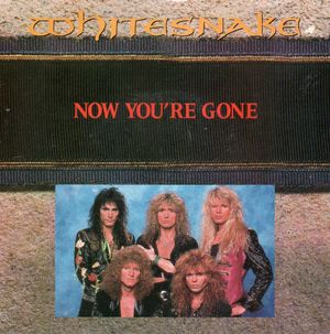 WHITESNAKE, NOW YOU'RE GONE / WINGS OF THE STORM