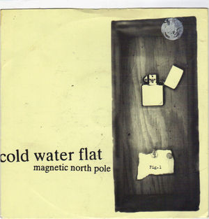 COLD WATER FLAT, MAGNETIC NORTH POLE / WHAT DAY IT WAS
