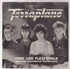 TERRAPLANE, FLEXI DISC - I'M THE ONE / WHEN YOU'RE HOT