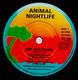 ANIMAL NIGHTLIFE, MR SOLITAIRE / LAZY AFTERNOON 
