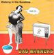 BAD MANNERS , WALKING IN THE SUNSHINE / END OF THE WORLD 