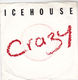 ICEHOUSE, CRAZY / COMPLETELY GONE 