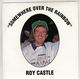 ROY CASTLE , SOMEWHERE OVER THE RAINBOW / WHERE THERES LIFE THERES HOPE