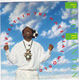 PATO BANTON, SPIRITS IN THE MATERIAL WORLD / SITUATION CRAZY