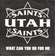 UTAH SAINTS, WHAT CAN YOU DO FOR ME / TRANS EUROPE EXCESS