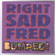 RIGHT SAID FRED, BUMPED / TURN ME ON